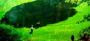 GREEN HOLE