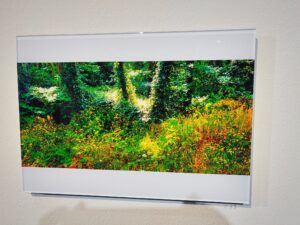 KYOTOGRAPHIE KG+2024