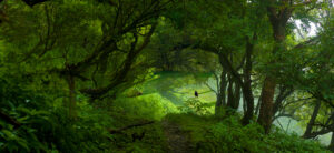 GREEN GATE