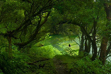 STORYSCAPE Wataru Furuta