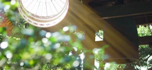 MOURNING THE SOUL ©WATARU FURUTA