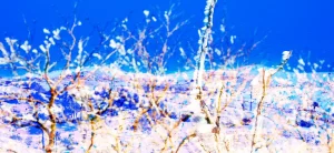 Snow on the desert
