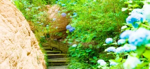 Flower in the Fortress