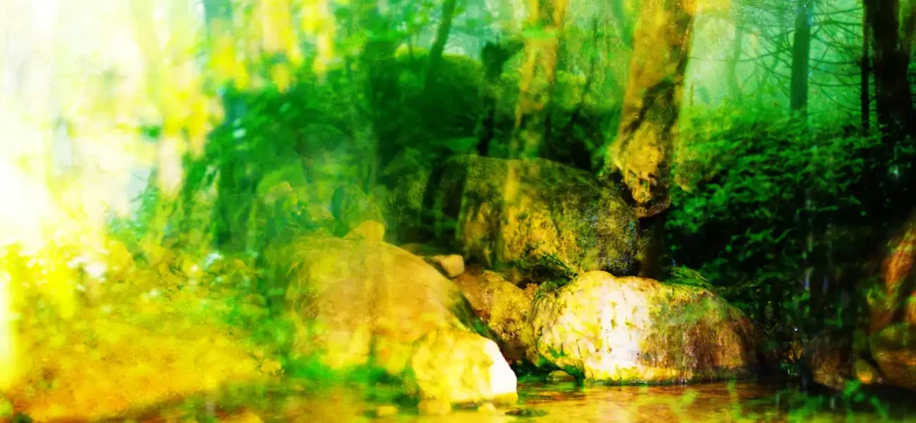 TURTLE ROCK