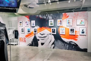 HELI-X VISUAL ART EXHIBITION