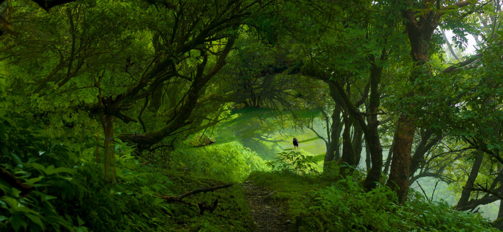 古田亘 STORYSCAPES