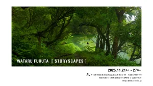 古田亘　STORYSCAPES