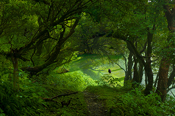 古田亘　STORYSCAPES