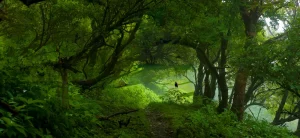 GREEN GATE GOAT